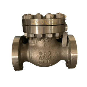 TY 3" Diameter Class 600 Flanged Swing Check Valve