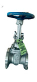 TV 4 inch gate valve