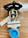 three quarter inch gate valve